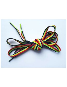 Veters regenboog streep 10mm - 114cm