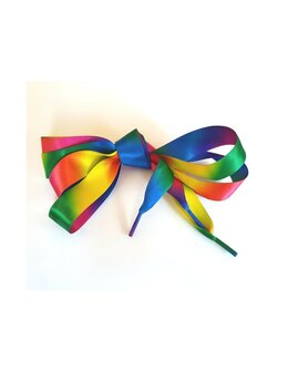 Veters satijn lint regenboog 20mm