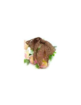 Veters kant bruin 25mm - 120cm