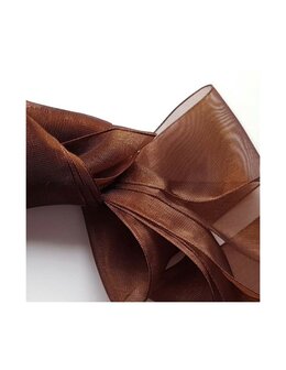 Veters organza lint bruin 40mm - 120cm