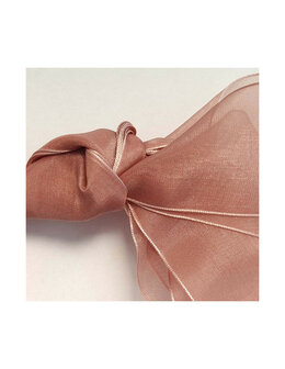 Veters organza lint bronze 40mm - 120cm