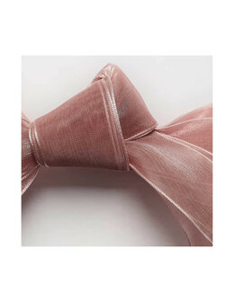 Veters organza lint bronze 25mm - 120cm