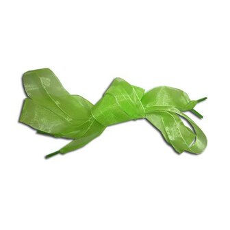 Veters organza lint felgroen 25mm - 100cm