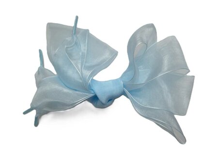 Veters organza lint lichtblauw 40mm - 120cm