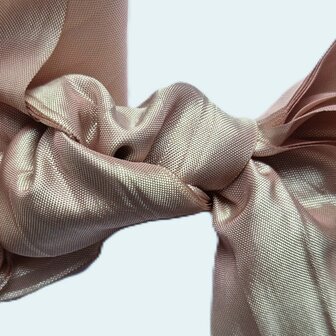 Veters satijn kreukel champagne 50mm - 120cm