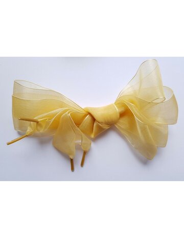 Veters organza lint geelgoud 40mm - 120cm