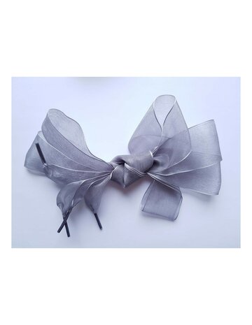 Veters organza lint zilvergrijs 40mm - 120cm