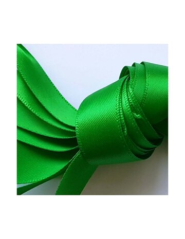 Veters satijn lint appelgroen 15mm - 120cm