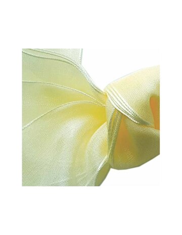 Veters organza lint creme 40mm - 120cm