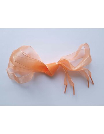 Veters organza lint oranje 20mm - 120cm