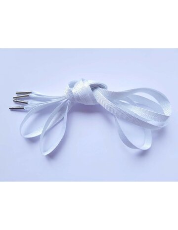 Veters glitter visgraat wit-zilver 10mm - 120cm
