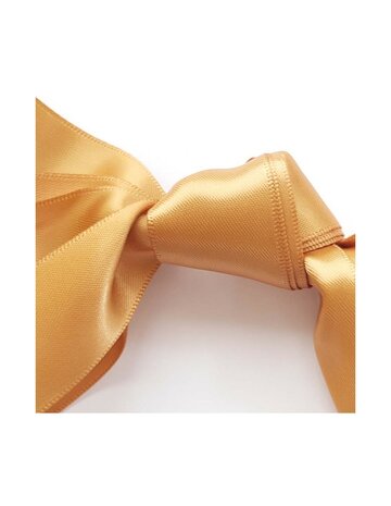 Veters satijn lint goud 25mm - 110cm