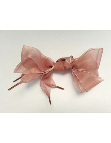 Veters organza lint bronze 40mm - 120cm