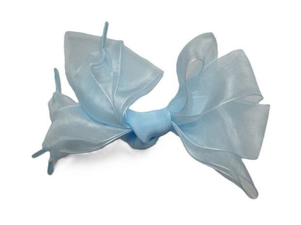 Veters organza lint lichtblauw 40mm - 120cm