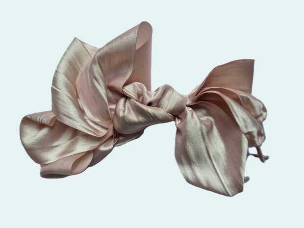 Veters satijn kreukel champagne 50mm - 120cm